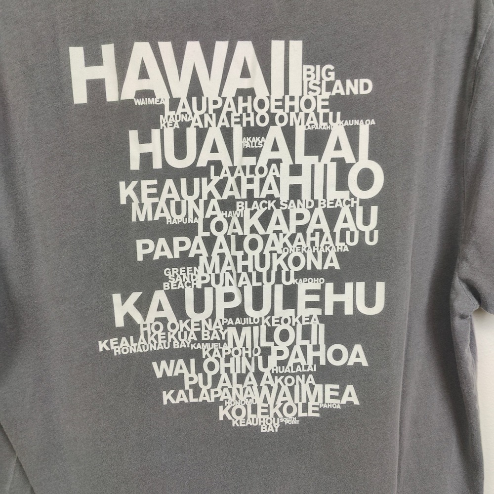 James Perse T-Shirt Mens 2 Medium Grey Hawaii Graphic Crew Neck Combed Cotton - Picture 6 of 10